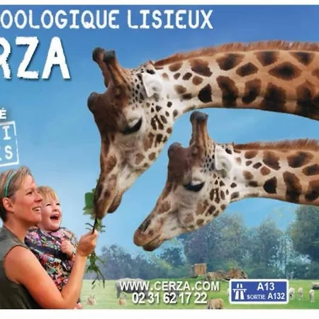 Maison Optiku Prázdninový dům