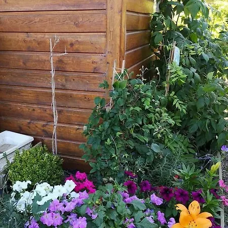 Vakantiehuis Maison Optiku Cormeilles (Eure)